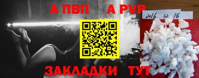 jwh Кингисепп