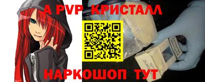 jwh Кингисепп