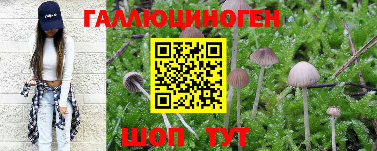 Галлюциногенные грибы ЛСД  Вход с VPN  Муравленко 